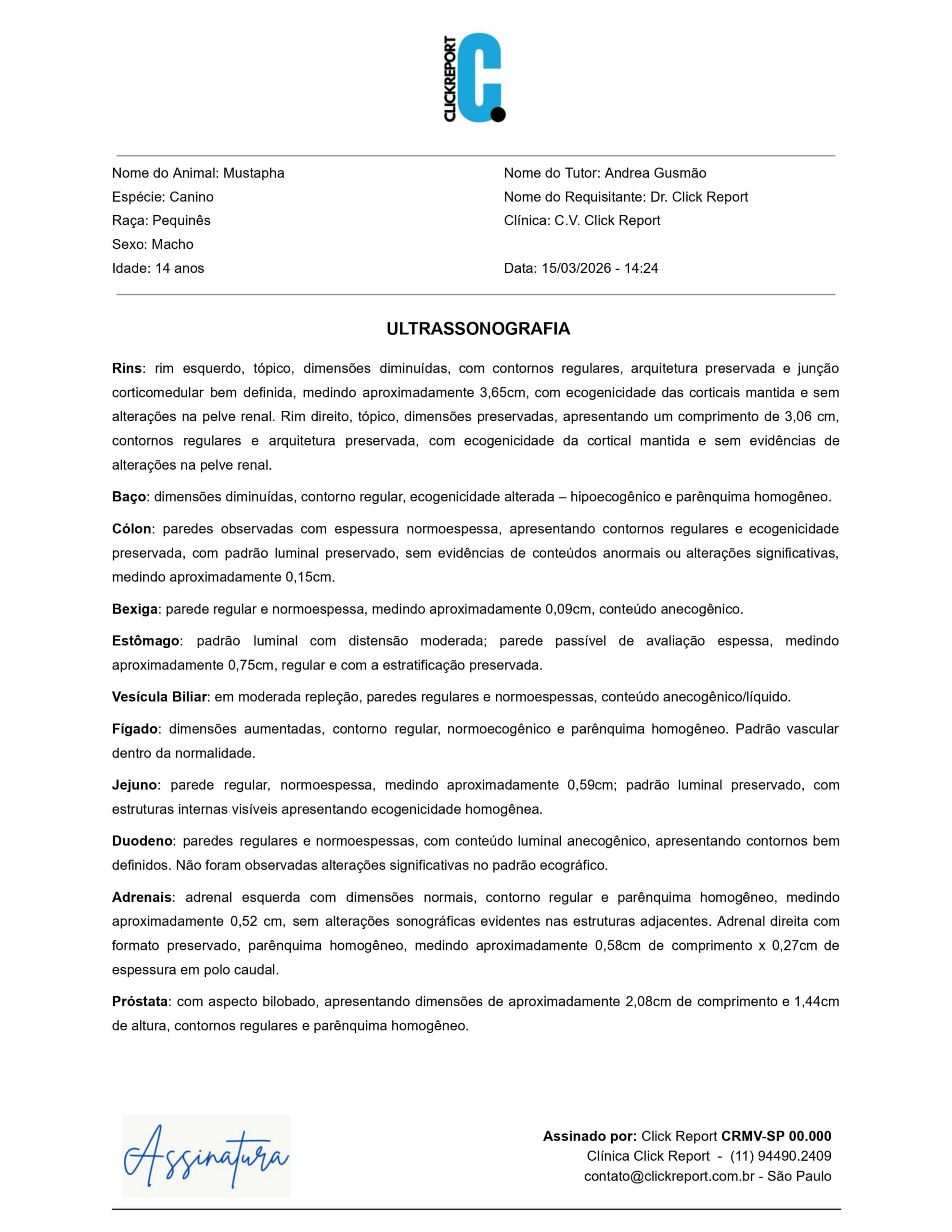 ClickReport - Laudo Teste - Mustapha_page-0001